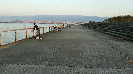 早朝タチウオ、F4級3連荘！今年は大型が多いです。